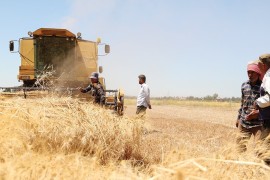 ميليشيات pyd-pkk الإرهابية تستمر في تضييق الخناق على المزارعين في مناطق سيطرتها .